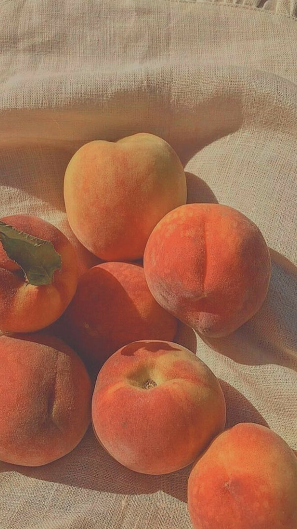 Velvet Peach